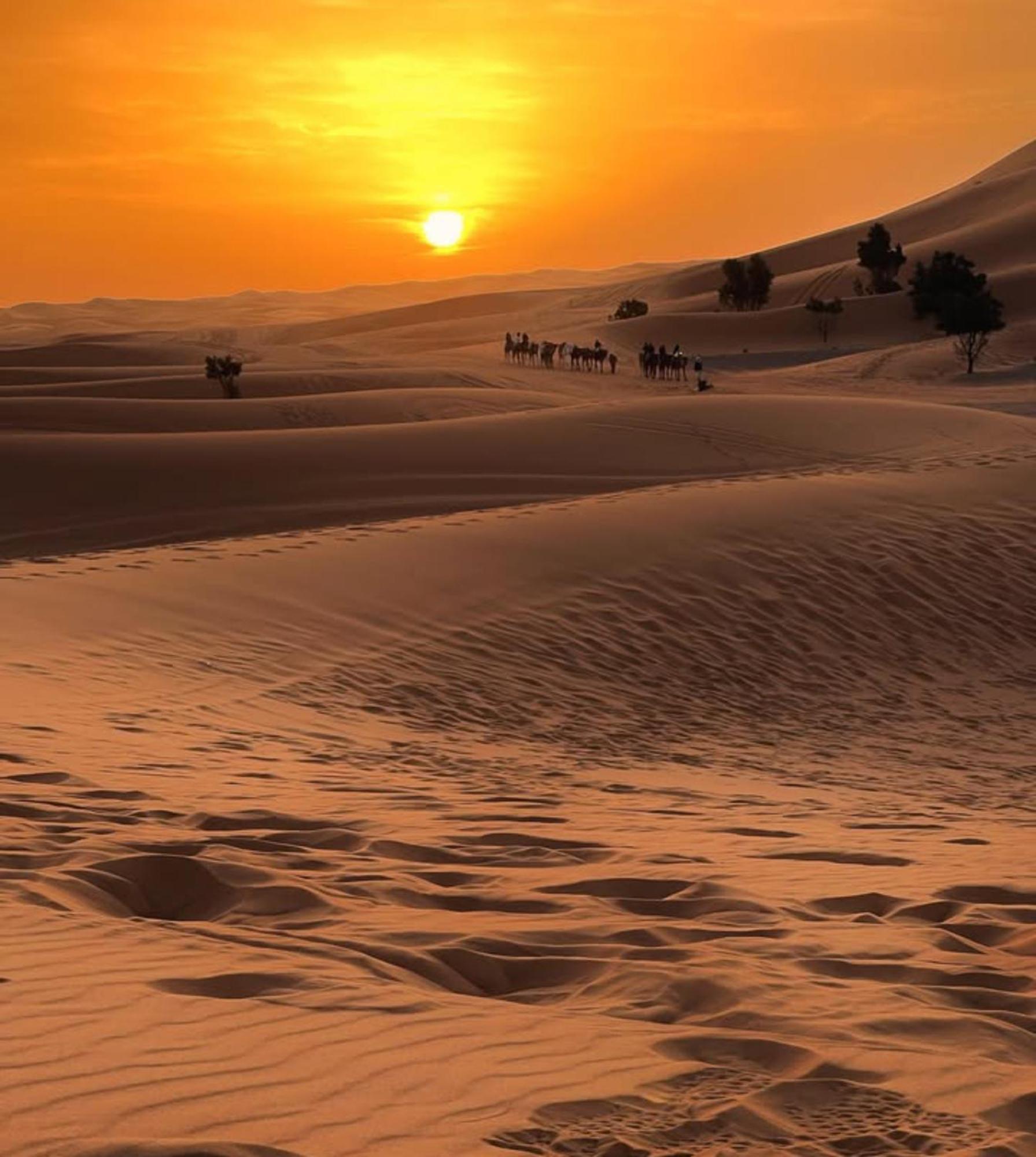 Merzouga Desert Campsite &Activities Eksteriør bilde